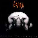 Gojira - Terra Incognita lyrics