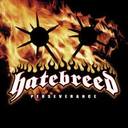 Hatebreed - Perseverance lyrics