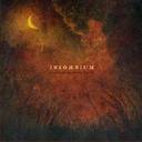 Insomnium - Above The Weeping World lyrics