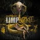 Limp Bizkit - Gold cobra lyrics